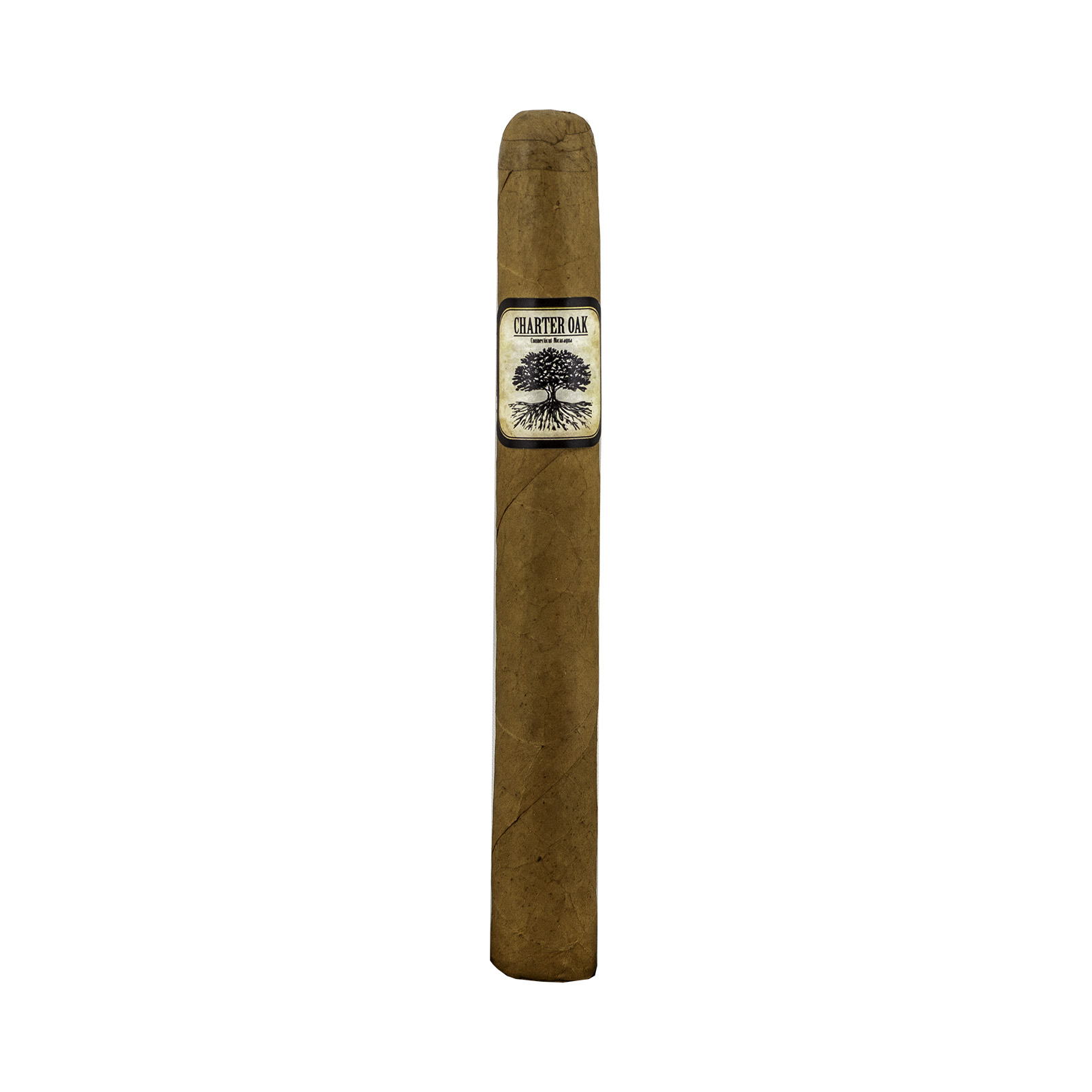 Charter Oak Connecticut Petite Corona Cigar - Single